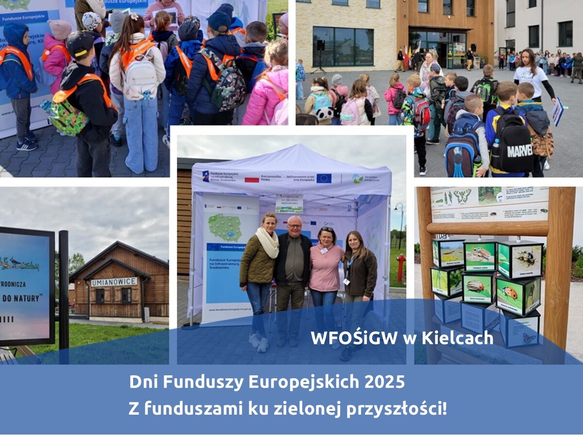 kolaż zdjęć z wydarzenia, na którym widać doradców energetycznych i uczestników