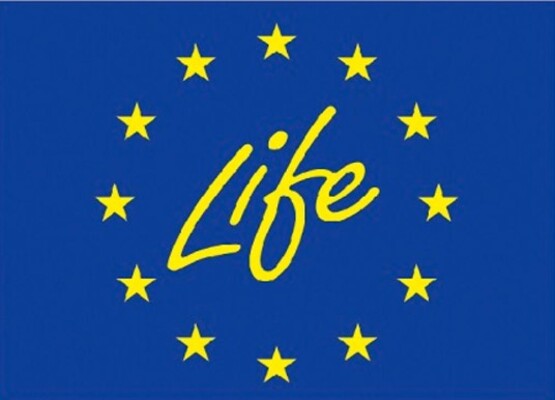 Grafika przedstawia flagę Unii Europejskiej (żółte gwiazdki, napis Life, niebieskie tło)